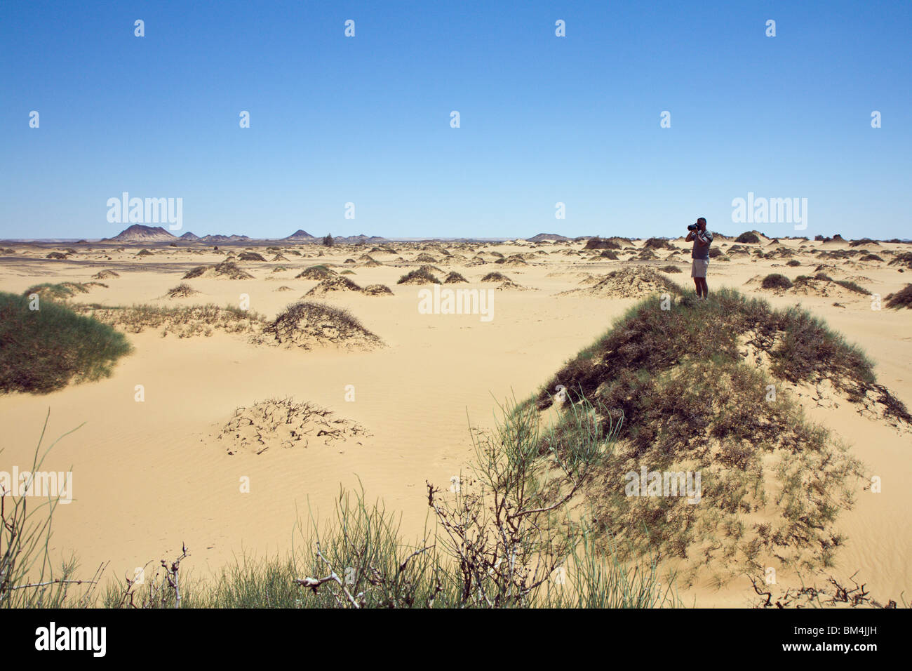 Deserto vicino a Bahariya oasi nel deserto libico, Egitto Foto Stock