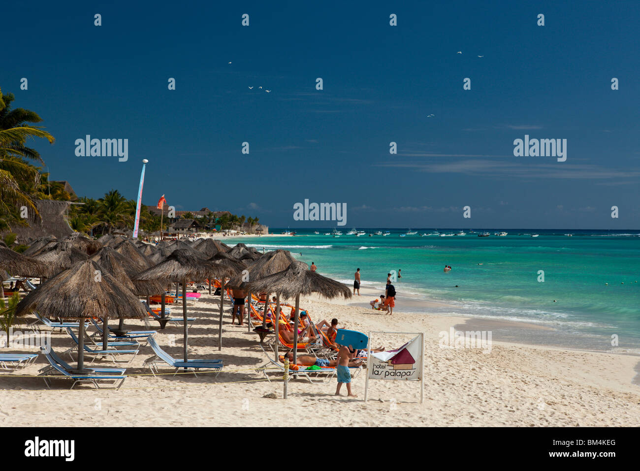 Spiaggia di Playa del Carmen e Riviera Maya, la penisola dello Yucatan, il Mare dei Caraibi, Messico Foto Stock