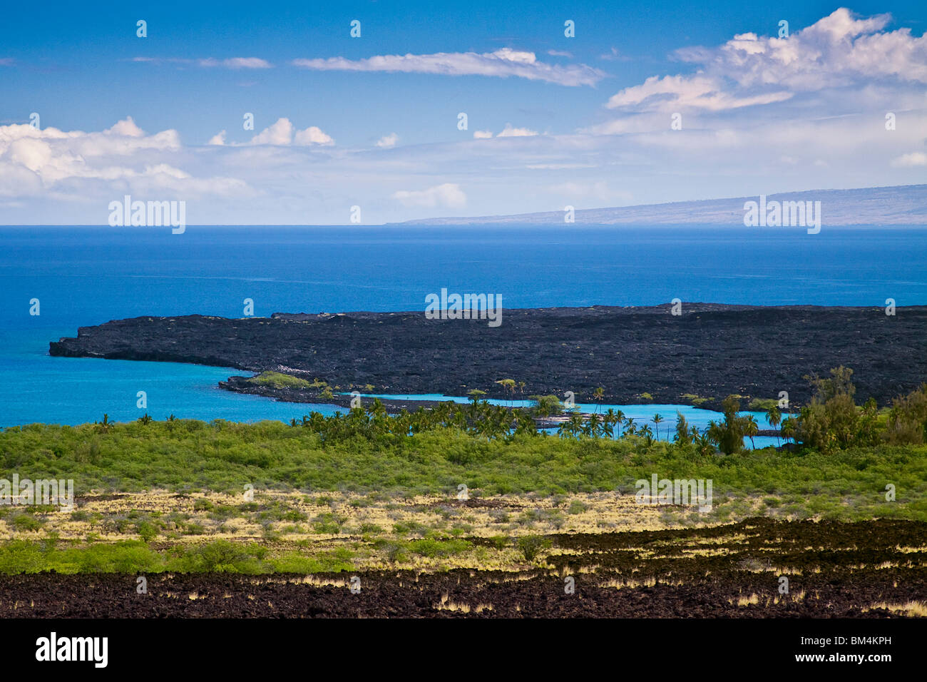 Campo di lava vicino Kiholo Bay, Kohala Coast, Big Island, Hawaii, STATI UNITI D'AMERICA Foto Stock