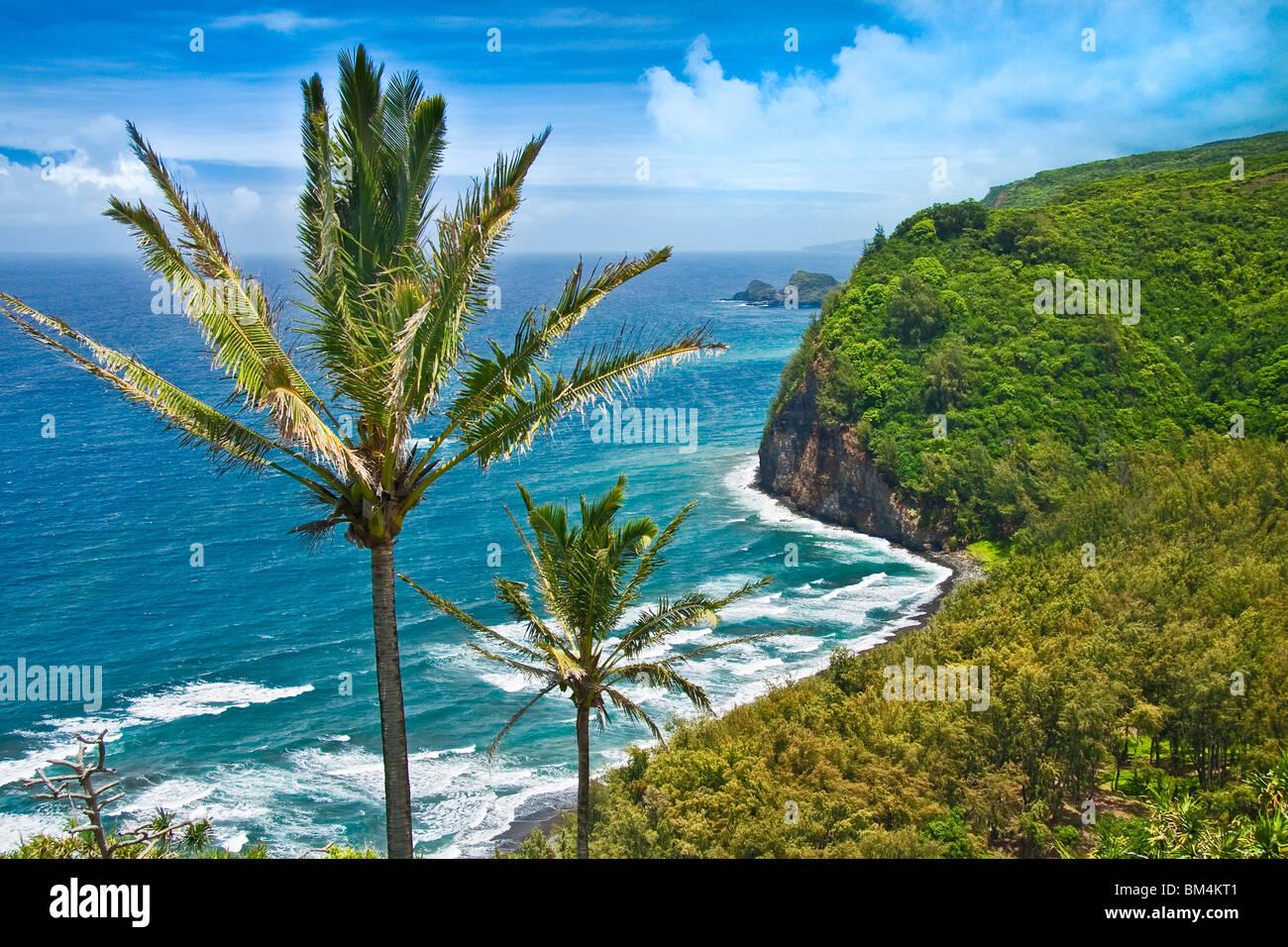 Vista alla spiaggia di Pololu, Kohala Coast, Big Island, Hawaii, STATI UNITI D'AMERICA Foto Stock