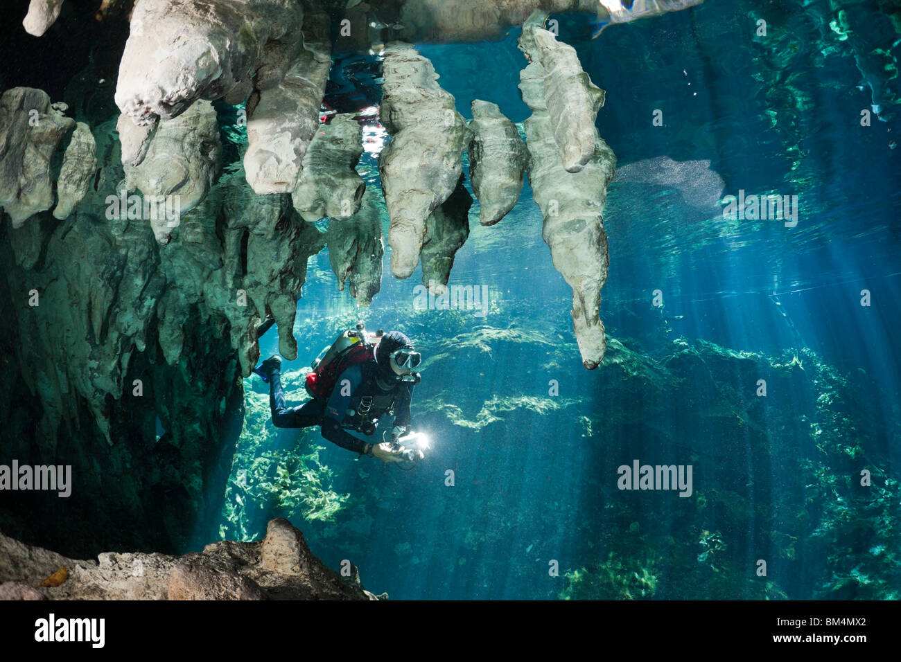 Scuba Diver in Gran Cenote, Tulum, la penisola dello Yucatan, Messico Foto Stock