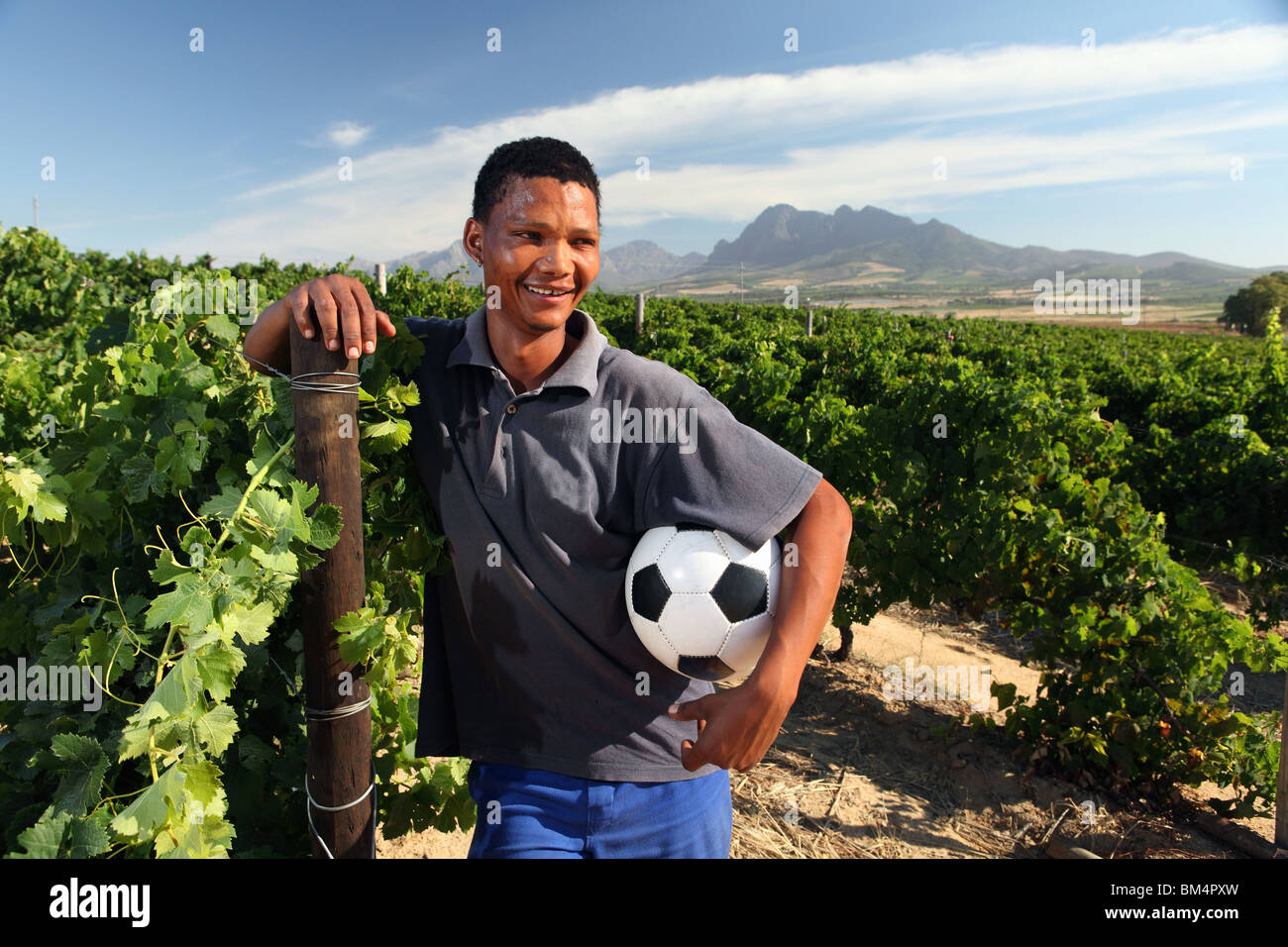 Un giovane uomo si erge con un pallone da calcio nell'area vinicola di Paarl in Sud Africa, attesa per la coppa del mondo di calcio Foto Stock