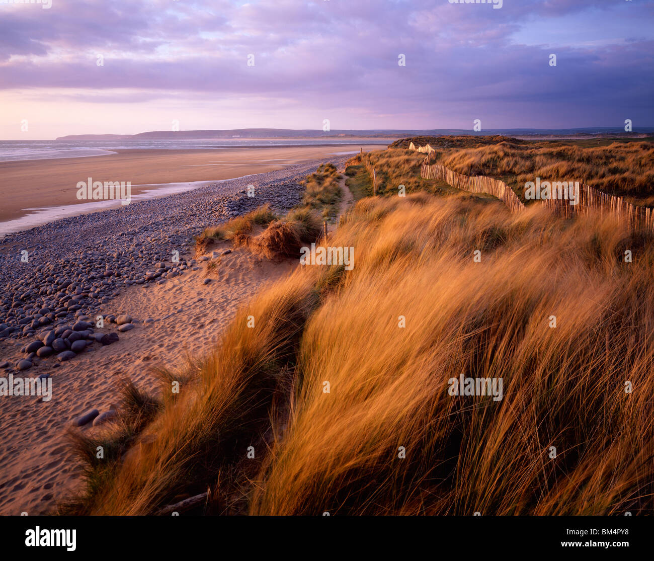 Dune di sabbia a Westward ho! E Northam Burrows alla luce del sole serale, Devon, Inghilterra. Foto Stock