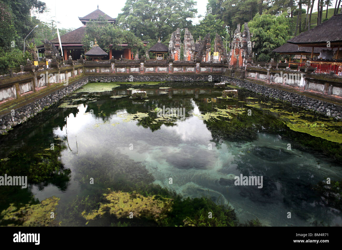 Tirta Gangga acqua palace di Tirta Gangga, Bali Orientale, Indonesia. Foto Stock