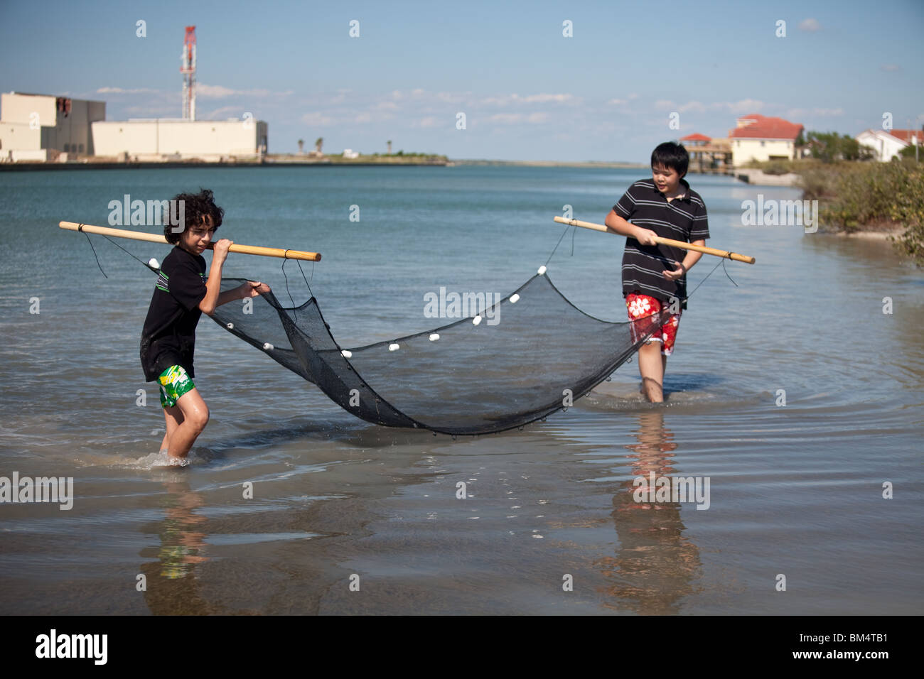 Due ragazzi delle scuole medie raccolgono piante e animali dalla baia di Corpus Christi durante una gita scolastica in biologia marina lungo la costa del Texas. Foto Stock
