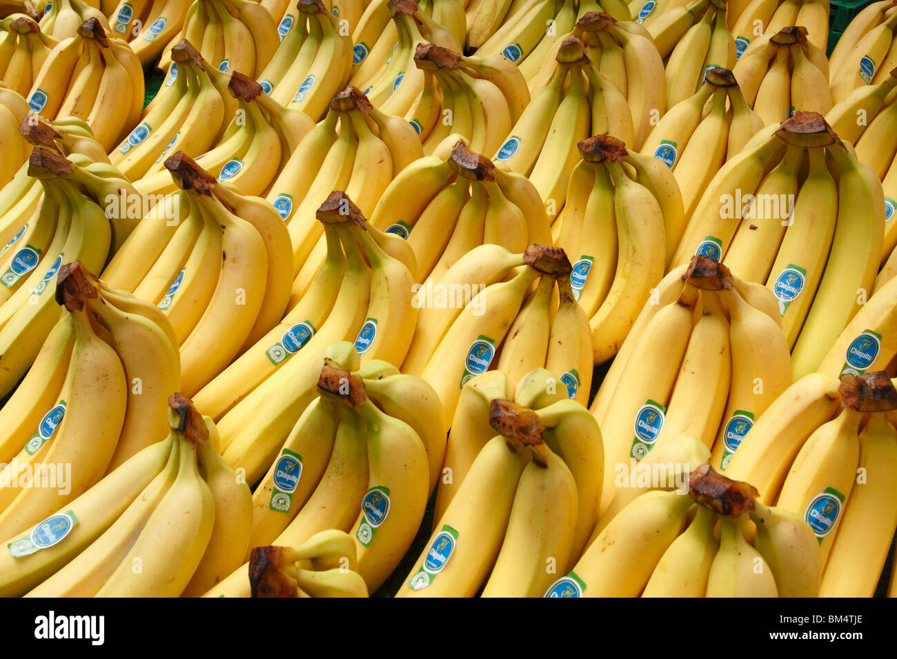 In prossimità delle partite di grappoli di banane Chiquita etichetta Colombia Foto Stock