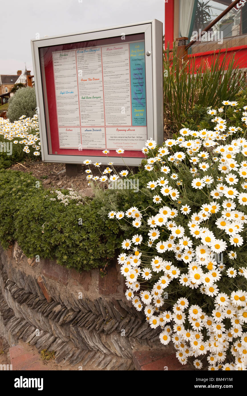 Regno Unito, Inghilterra, Devon, Woolacombe, economia turistica, granaio rosso ristorante sul mare menu sul curzy parete ondulata tra margherite in fiore Foto Stock