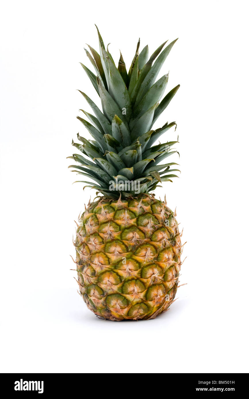 Ananas intero isolato su uno sfondo bianco Foto Stock