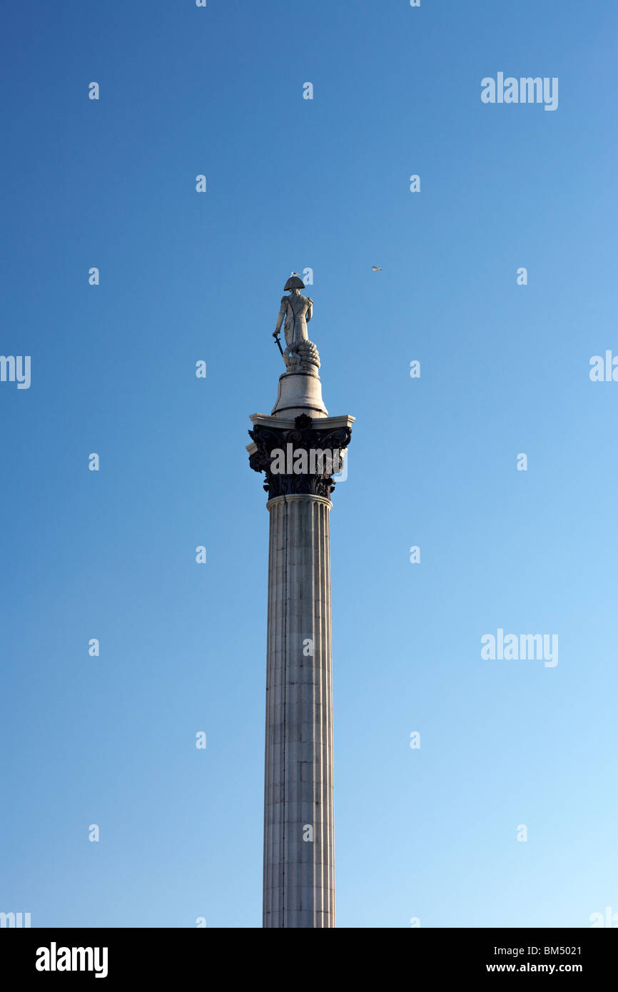 Nelson's colonna , Trafalgar Square. Londra Foto Stock