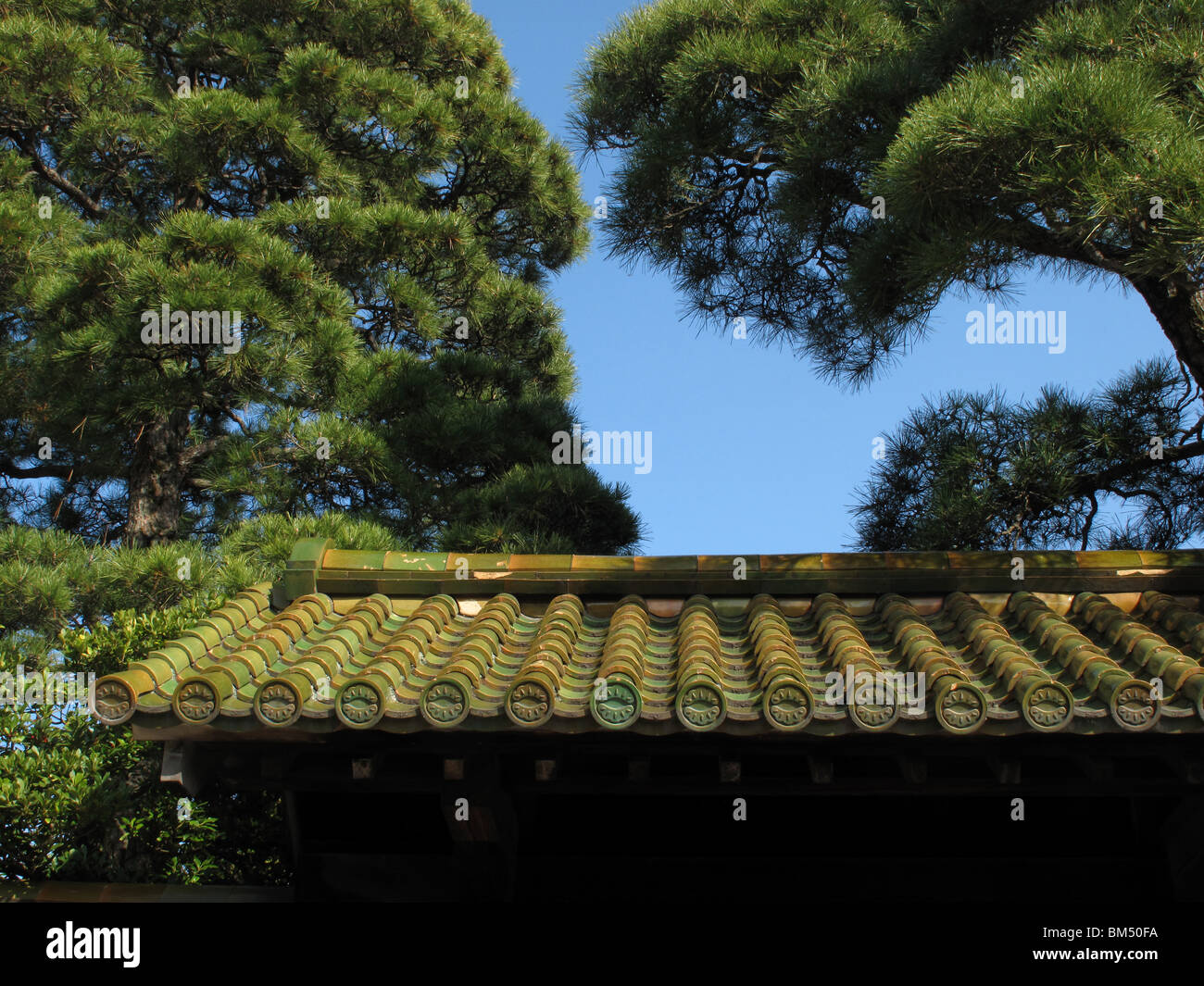 Il tetto verde Giappone Foto Stock