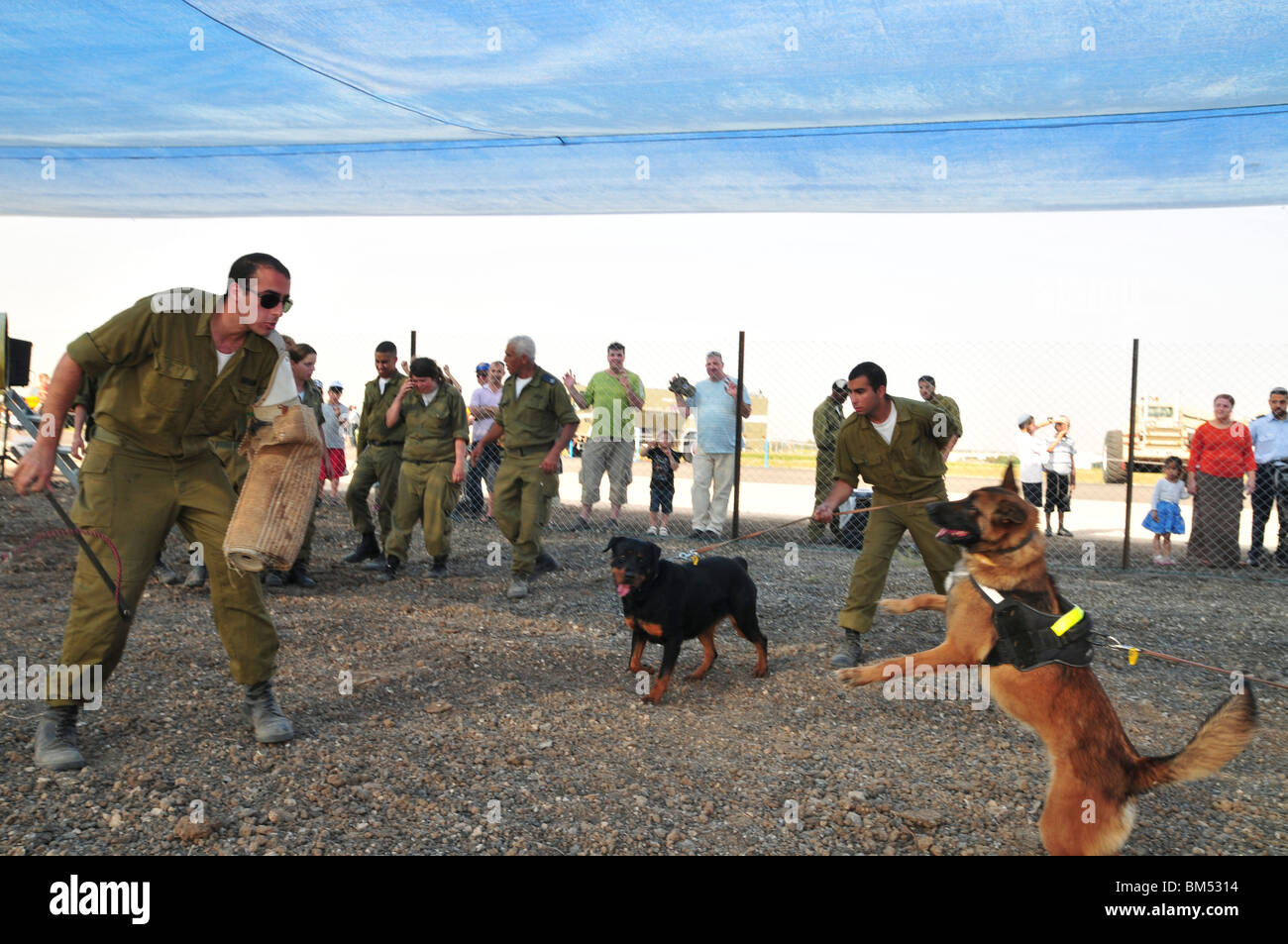 Israele, Tel Nof IAF Base una forza aerea israeliana (IAF) mostra attacco dimostrazione del cane Foto Stock