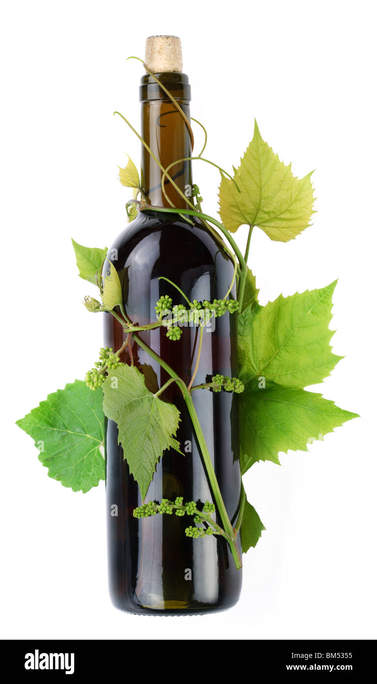 Bottiglia di vino in vigna su sfondo bianco Foto Stock