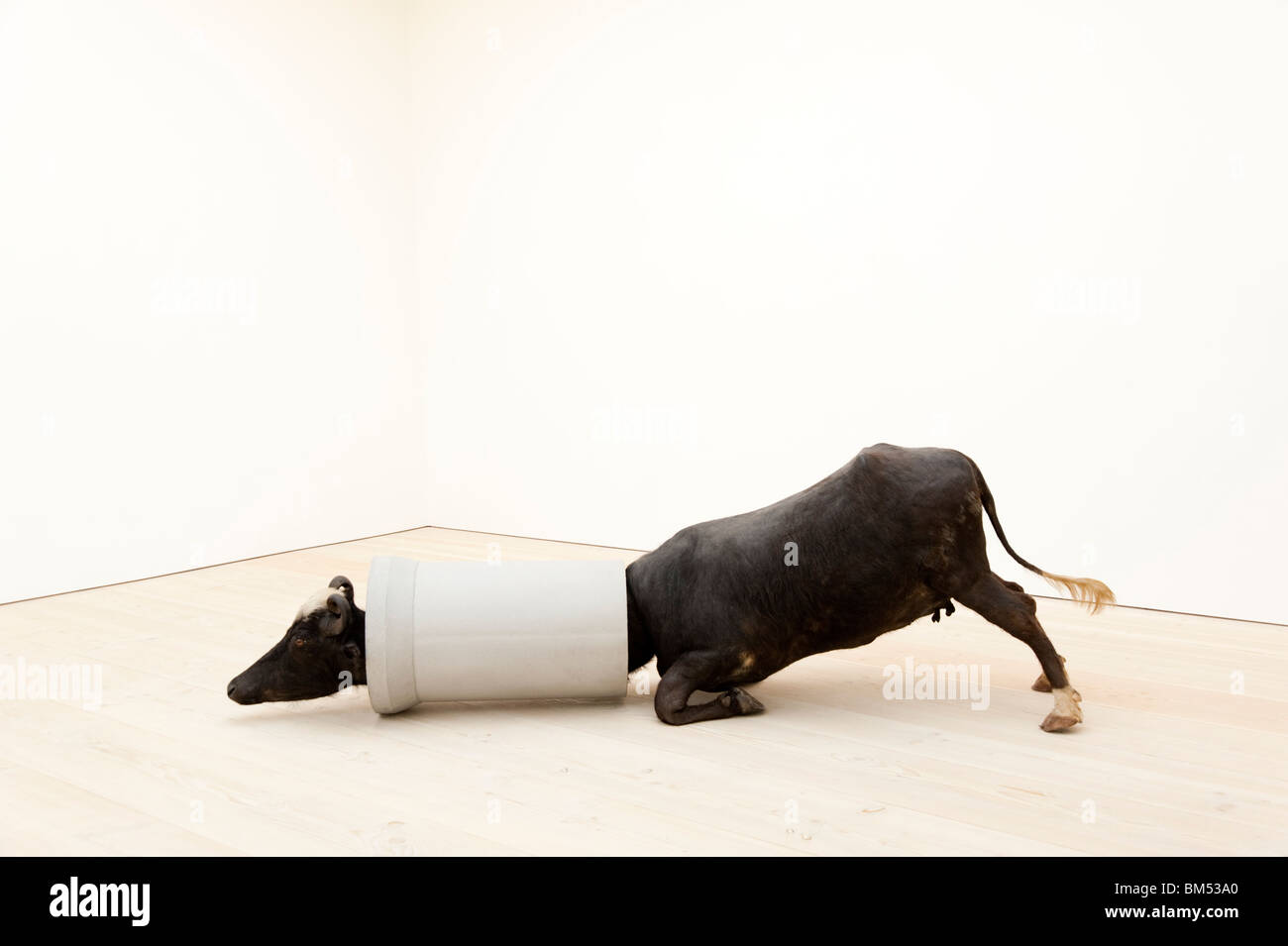 L'arte contemporanea presso la Saatchi Gallery di Londra, England, Regno Unito Foto Stock