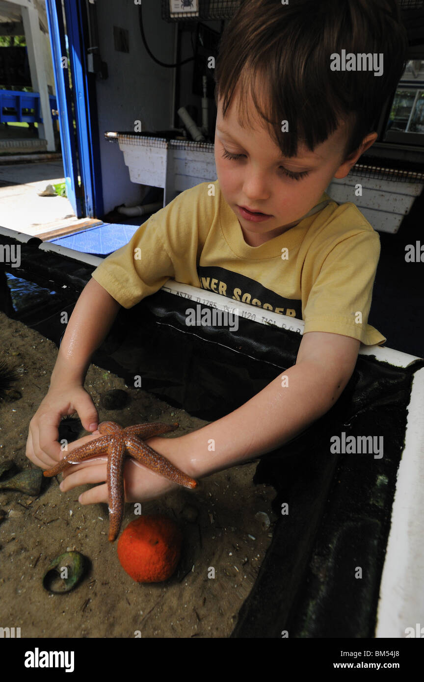 Toccare il display del serbatoio, Florida Foto Stock