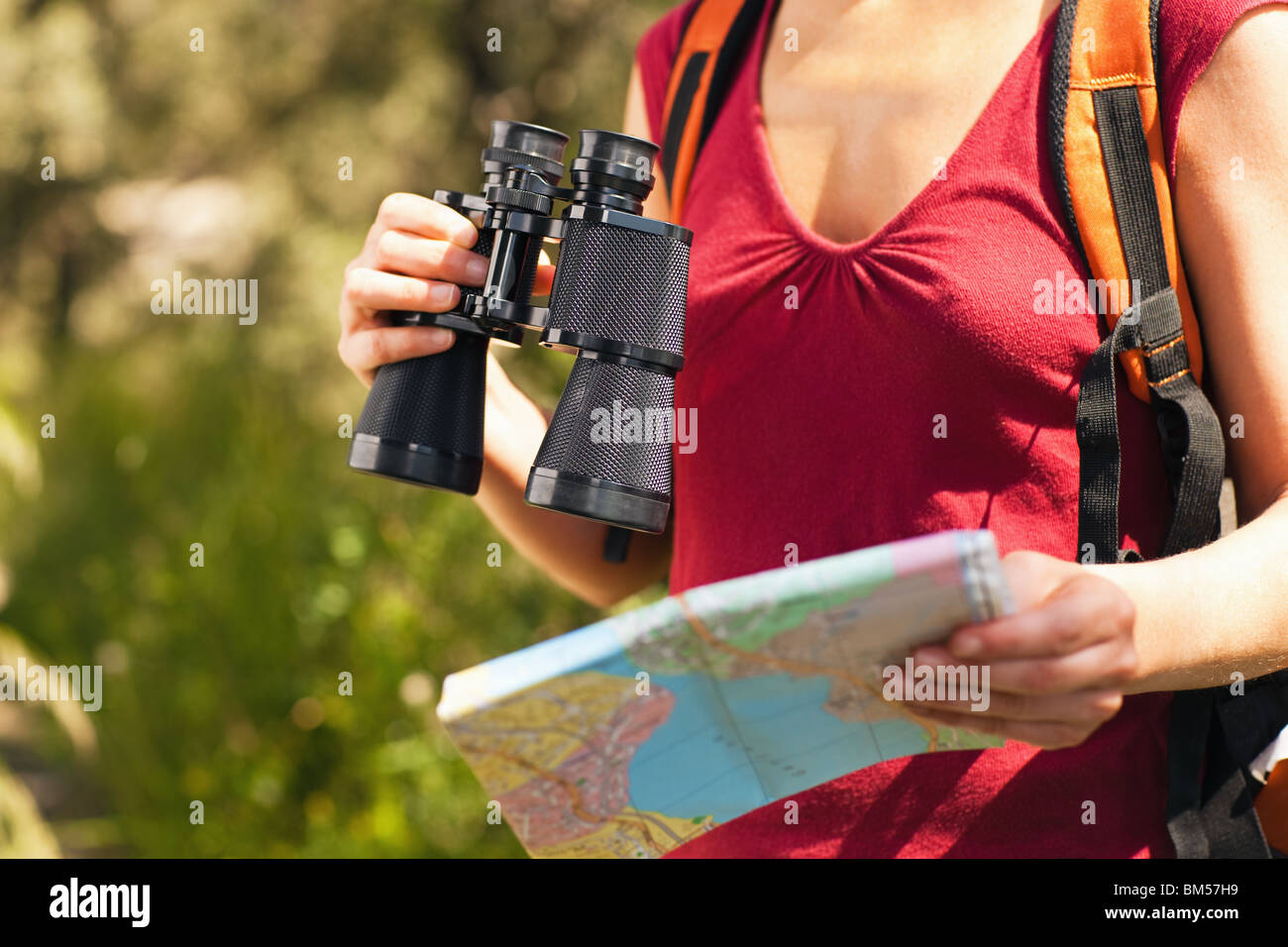 Vista ritagliata della femmina di bird watcher tenendo il binocolo e la mappa. Foto Stock