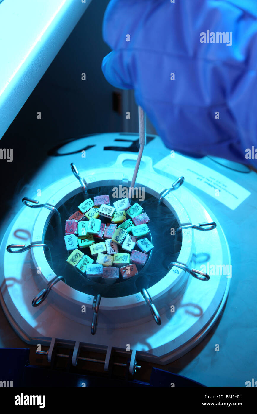 Clinica per la fecondazione in vitro. La fecondazione artificiale. Lo sperma è iniettato in un uovo. Lo sperma è conservata in azoto liquido. Foto Stock