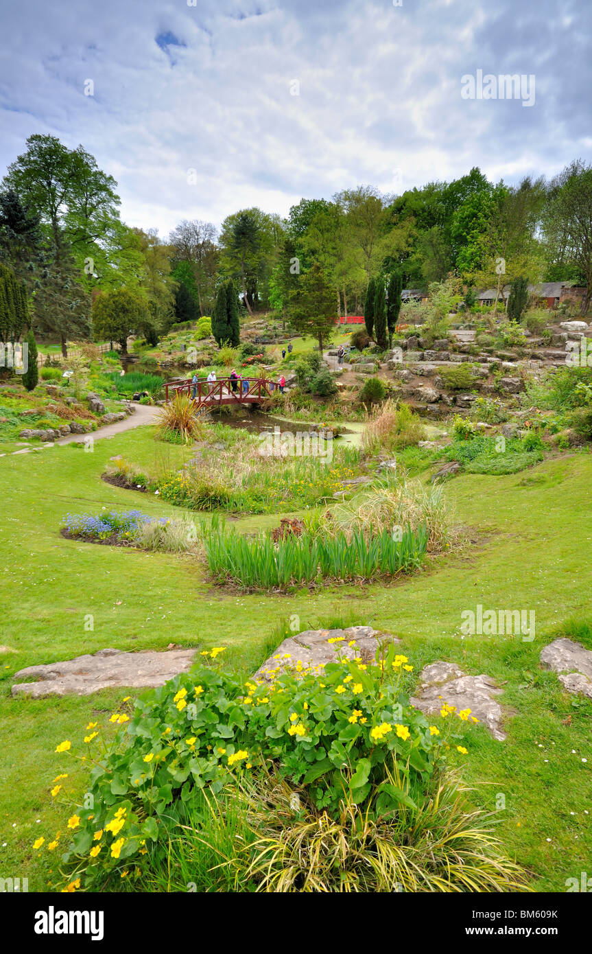 Il giardino giapponese Avenham park Preston Foto Stock