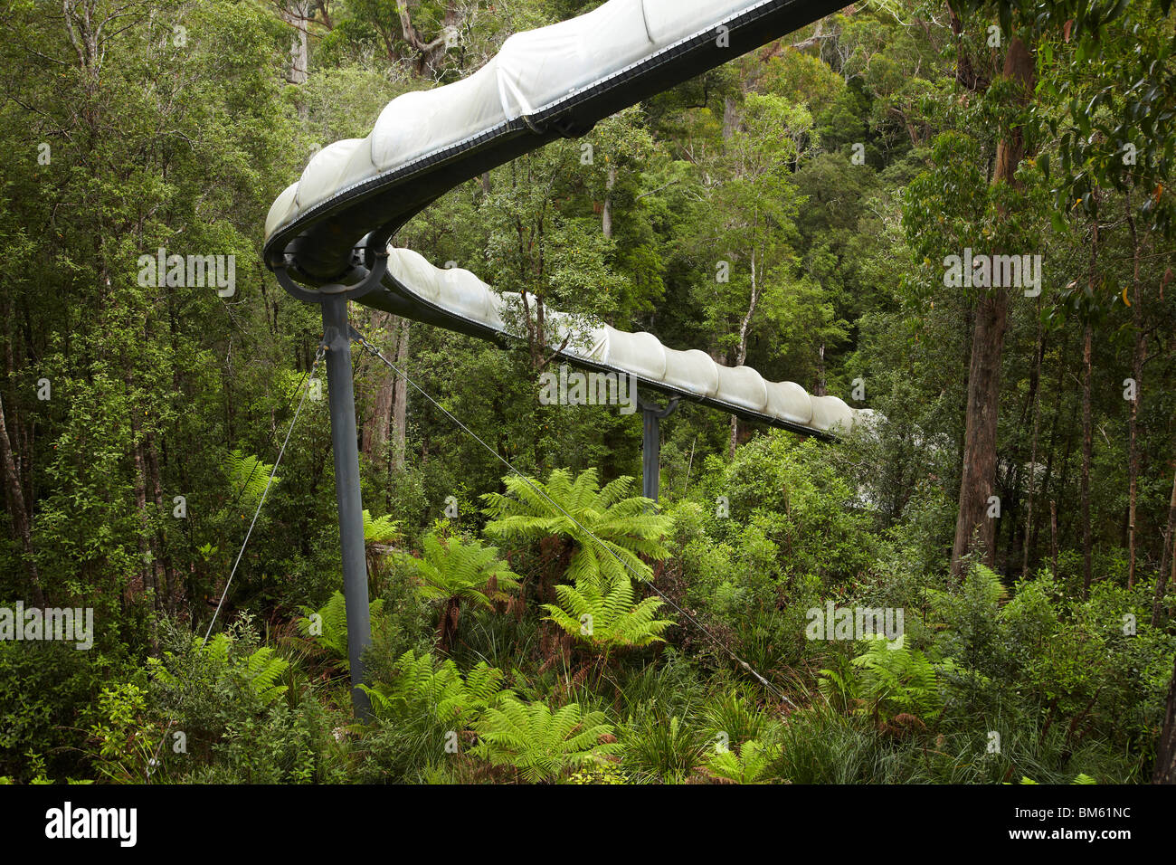 Avventura diapositiva, Tarkine avventure di foresta (ex Dismal Swamp), Bass Highway, North Western Tasmania, Australia Foto Stock