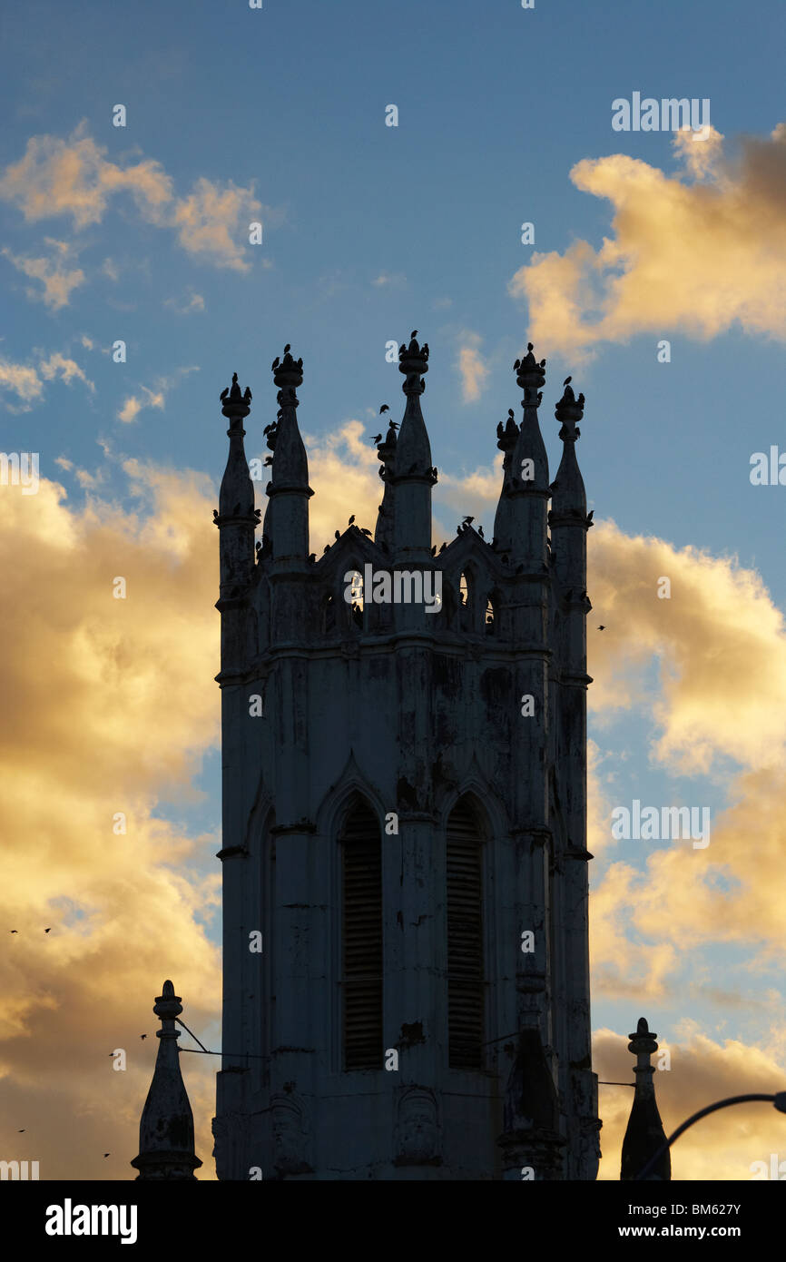 Campanile, Launceston, nel nord della Tasmania, Australia Foto Stock