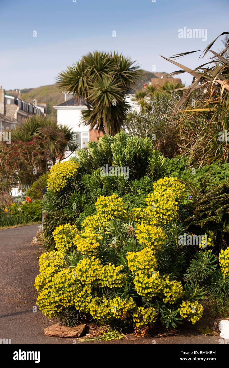 Regno Unito, Inghilterra, Devon, Ilfracombe, lungomare giardini Foto Stock