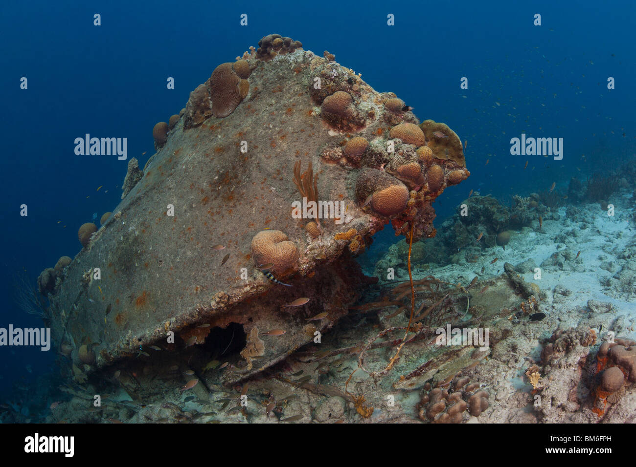 La Machaca relitto nella parte anteriore del capitano Don's Habitat in Bonaire, Antille olandesi. Foto Stock