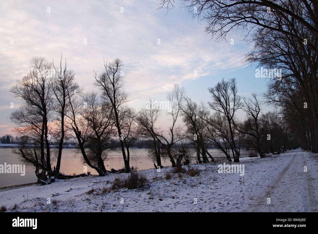 Paesaggio invernale fiume Danubio winterlandschaft an der Donau Foto Stock