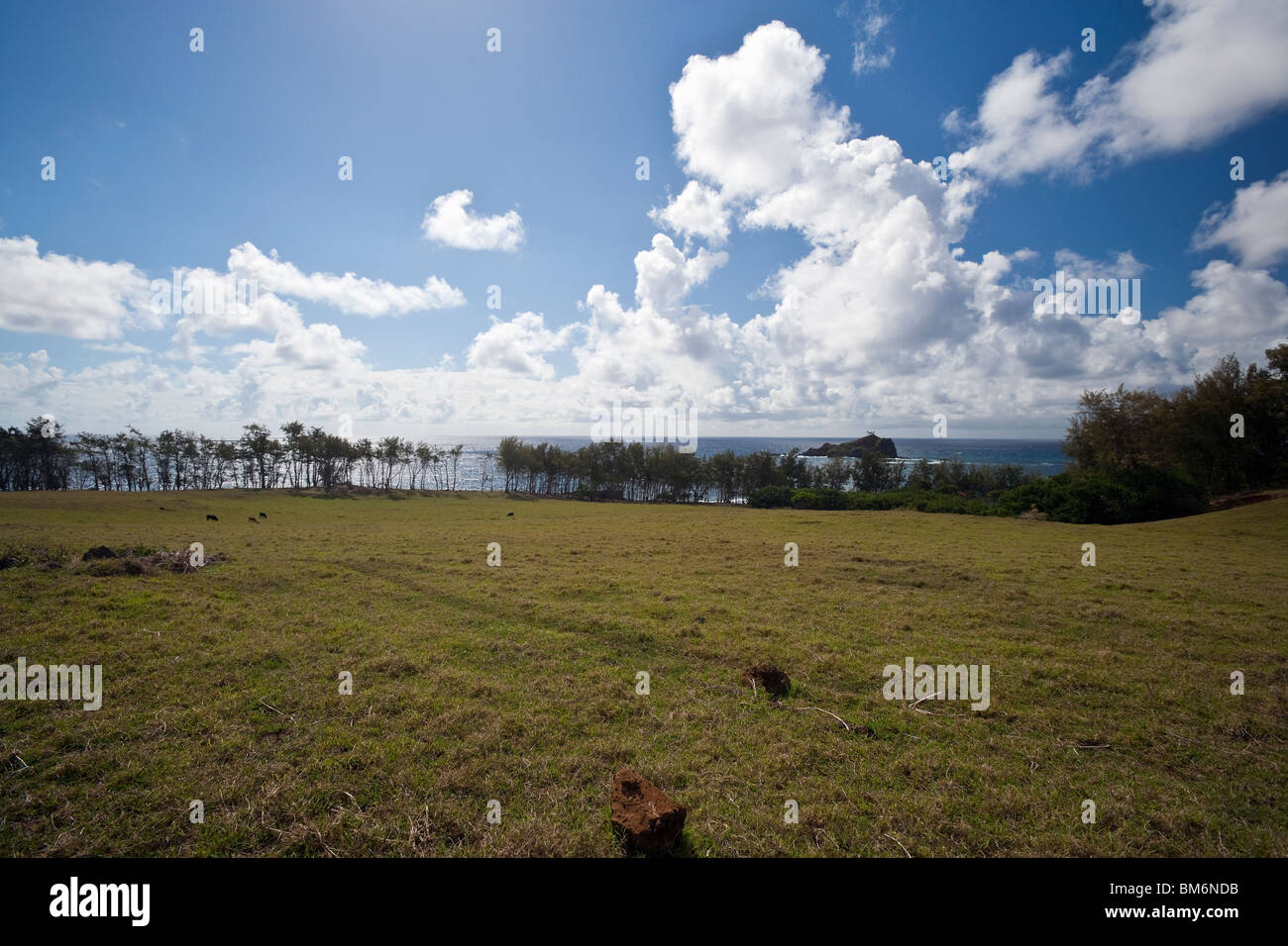Colline vicino a Hana,Maui dove la leggenda dice Vulcano Dea Pele le ossa sono sepolti. Foto Stock