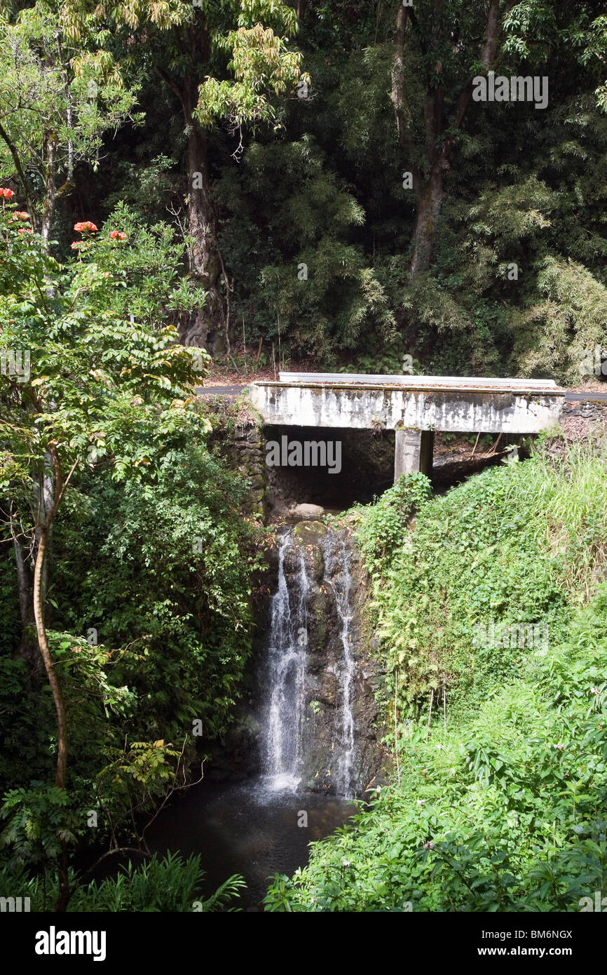 Uno dei molti ponti e cascate sulla strada oltre Hana, alle Hawaii a Maui Foto Stock