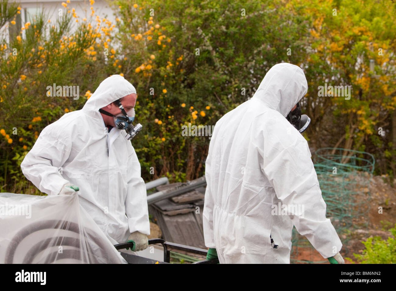 Uno specialista di rimozione amianto company Rimozione amianto da un capannone tetto di una casa a Ambleside, Cumbria, Regno Unito. Foto Stock