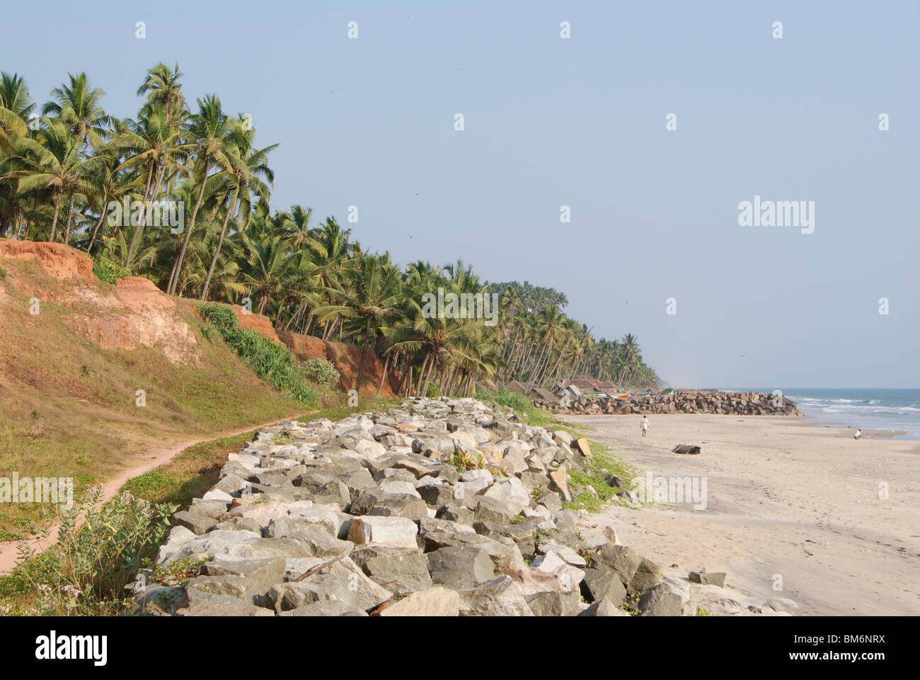 Ondulati paesaggi di cocco vicino a Varkala Beach. Bellezza offshore nel lato mare Foto Stock