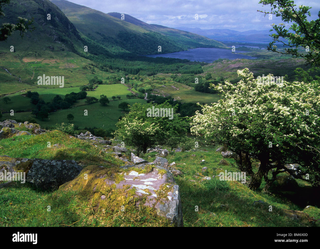Gleninchaquin valle, sulla penisola di Beara nella Contea di Kerry, Irlanda. Foto Stock