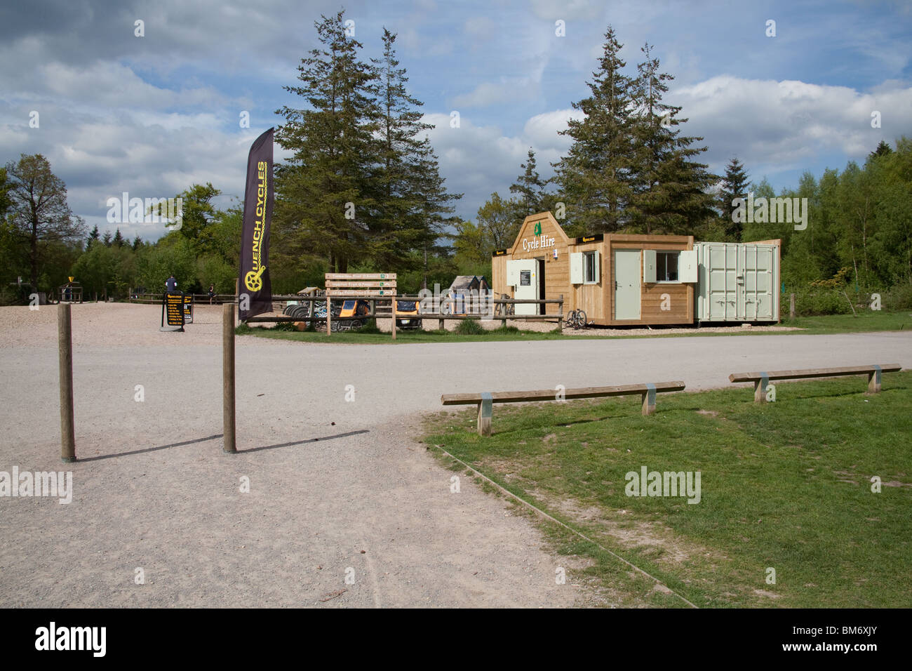 Alice Holt foresta, Farnham, Surrey, Inghilterra, Regno Unito. Foto Stock