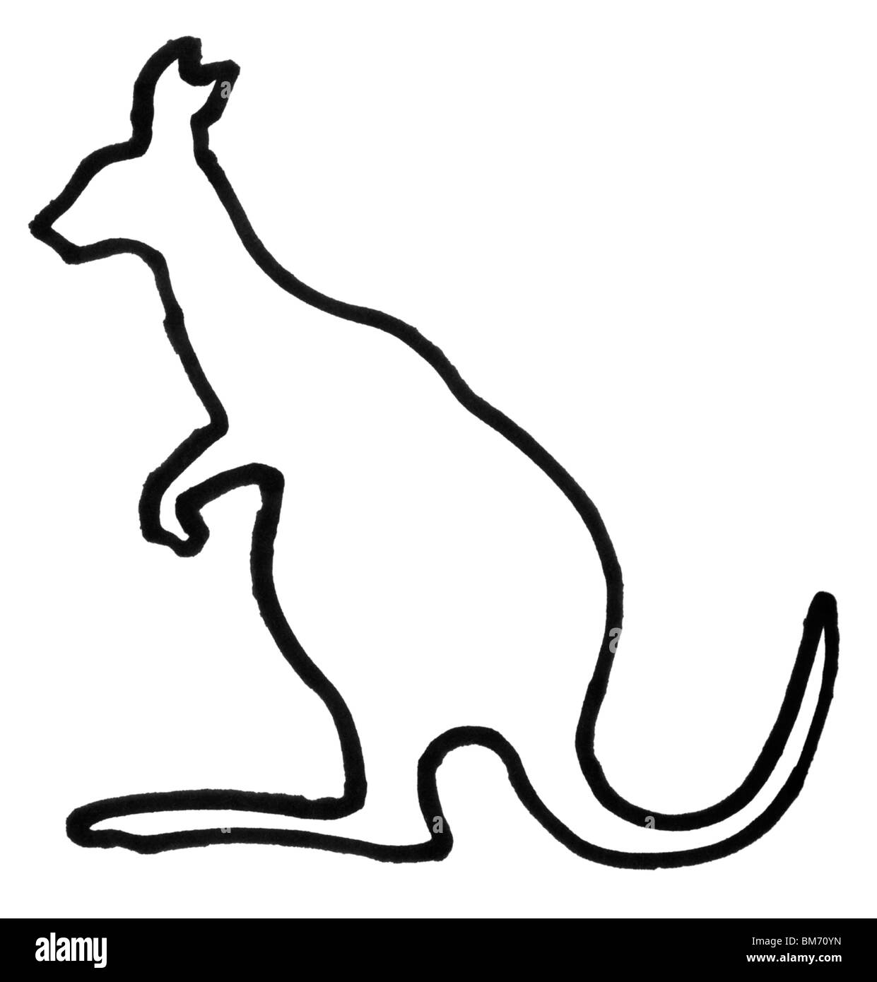 Profilo di un canguro Foto Stock