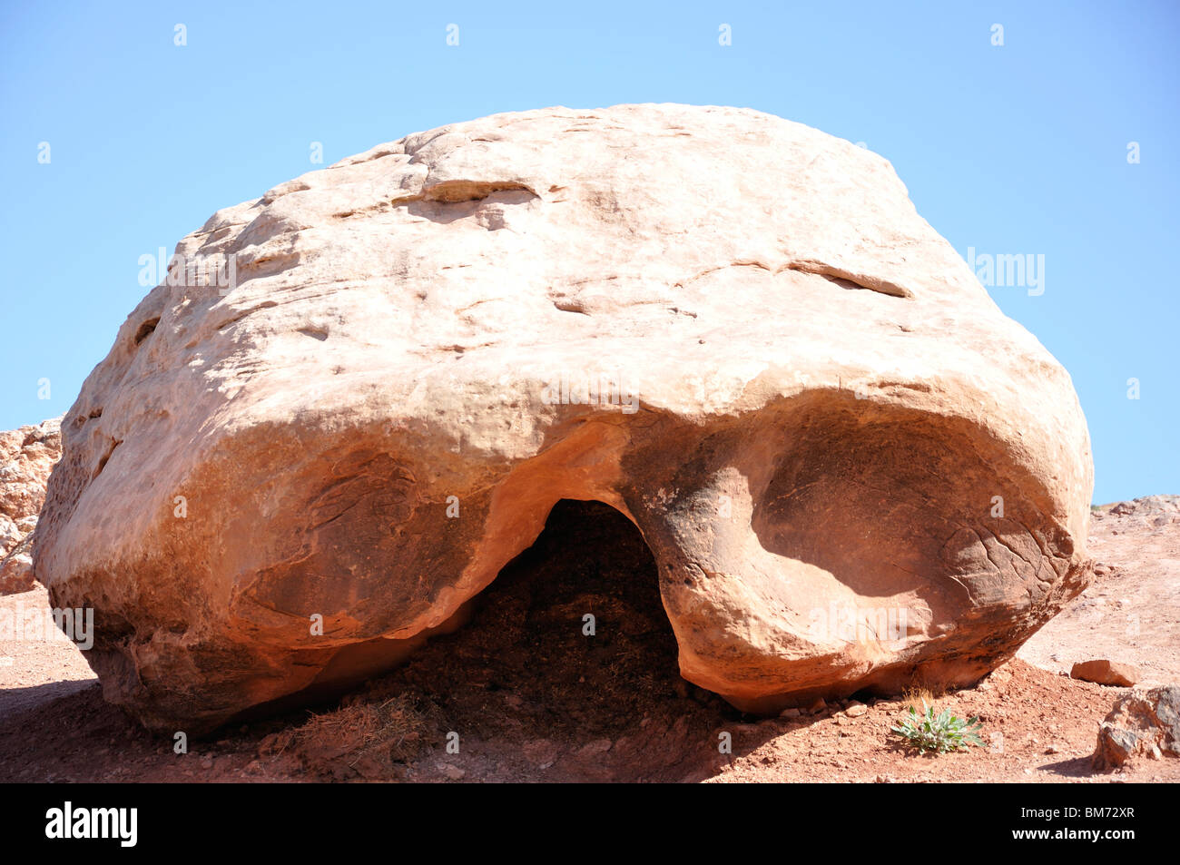 Cranio rock, Arches National Park, Utah, Stati Uniti d'America Foto Stock