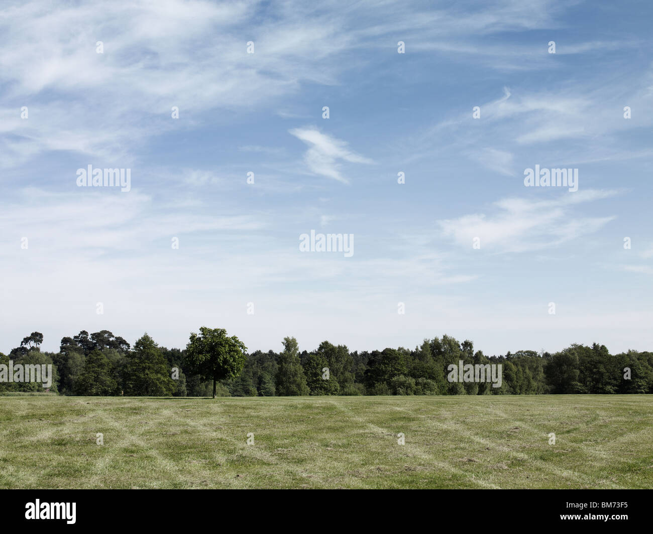 Immagine di panorama di un parcheggio in un campo che mostra tracce di pneumatici su erba, alberi e un cielo estivo in una giornata di sole Foto Stock