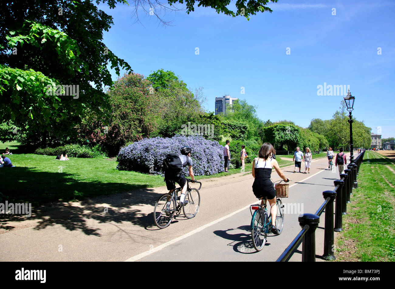 Pista ciclabile e percorso a piedi, Hyde Park City of Westminster, Londra, Inghilterra, Regno Unito Foto Stock