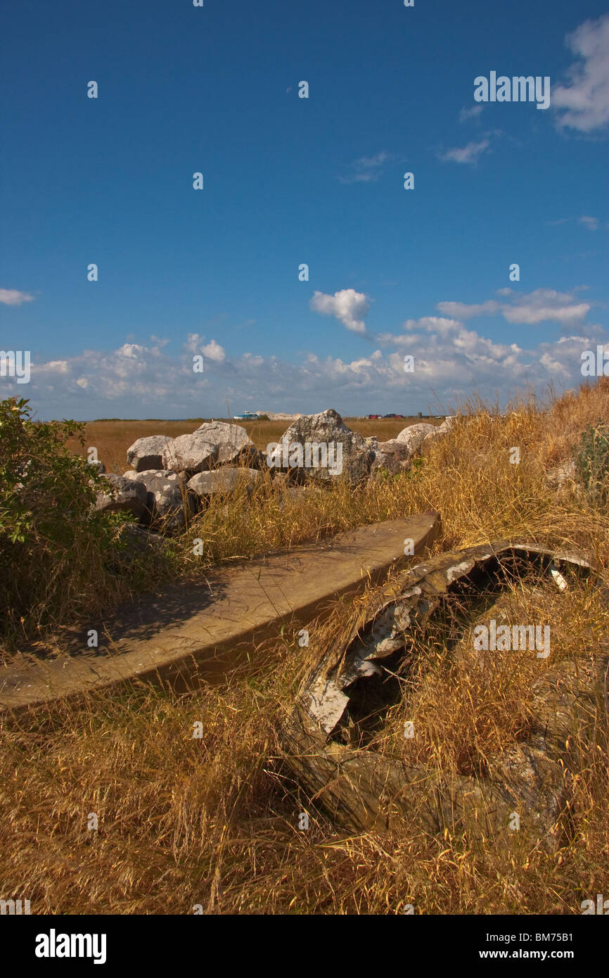 Antichi naufragi accanto a stonewall sull'isola di Helnaes, Danimarca Foto Stock