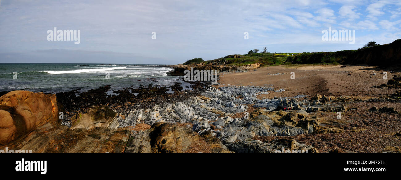 Strati di pietra arenaria turbidite e roccia esposta lungo la costa della California, Stati Uniti d'America. Foto Stock