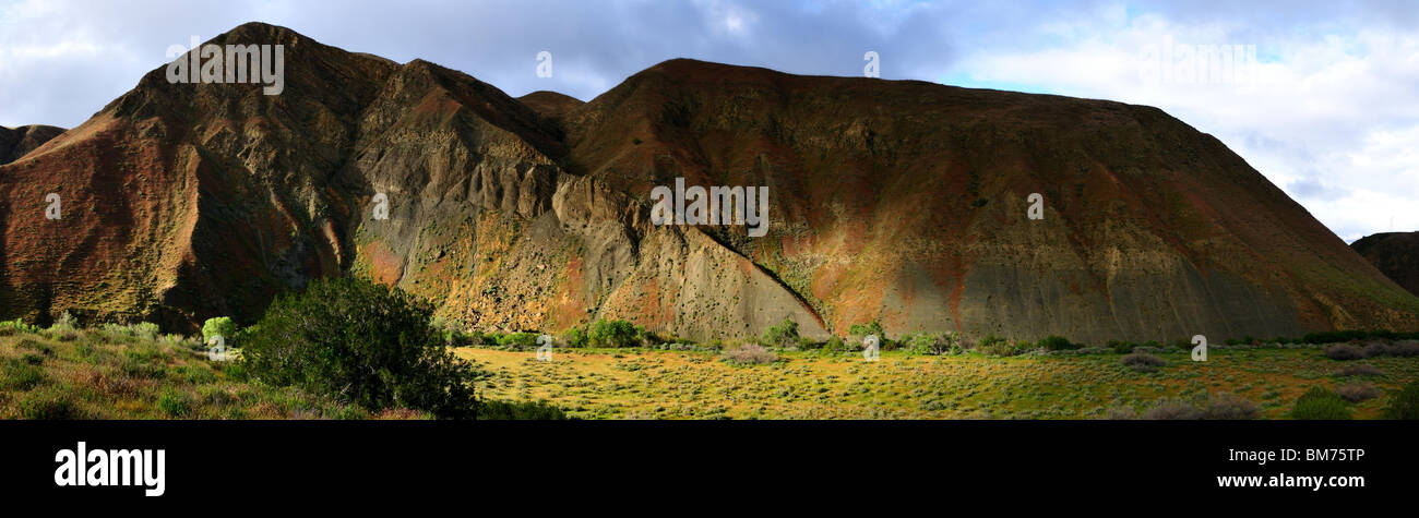Turbidite rocce esposte lungo la catena montuosa. In California, Stati Uniti d'America. Foto Stock