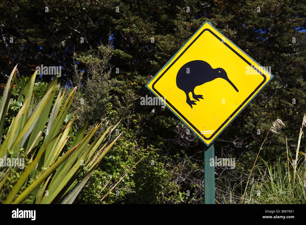 Cartello stradale di avvertimento di uccelli kiwi sul hiway in Nuova Zelanda Foto Stock