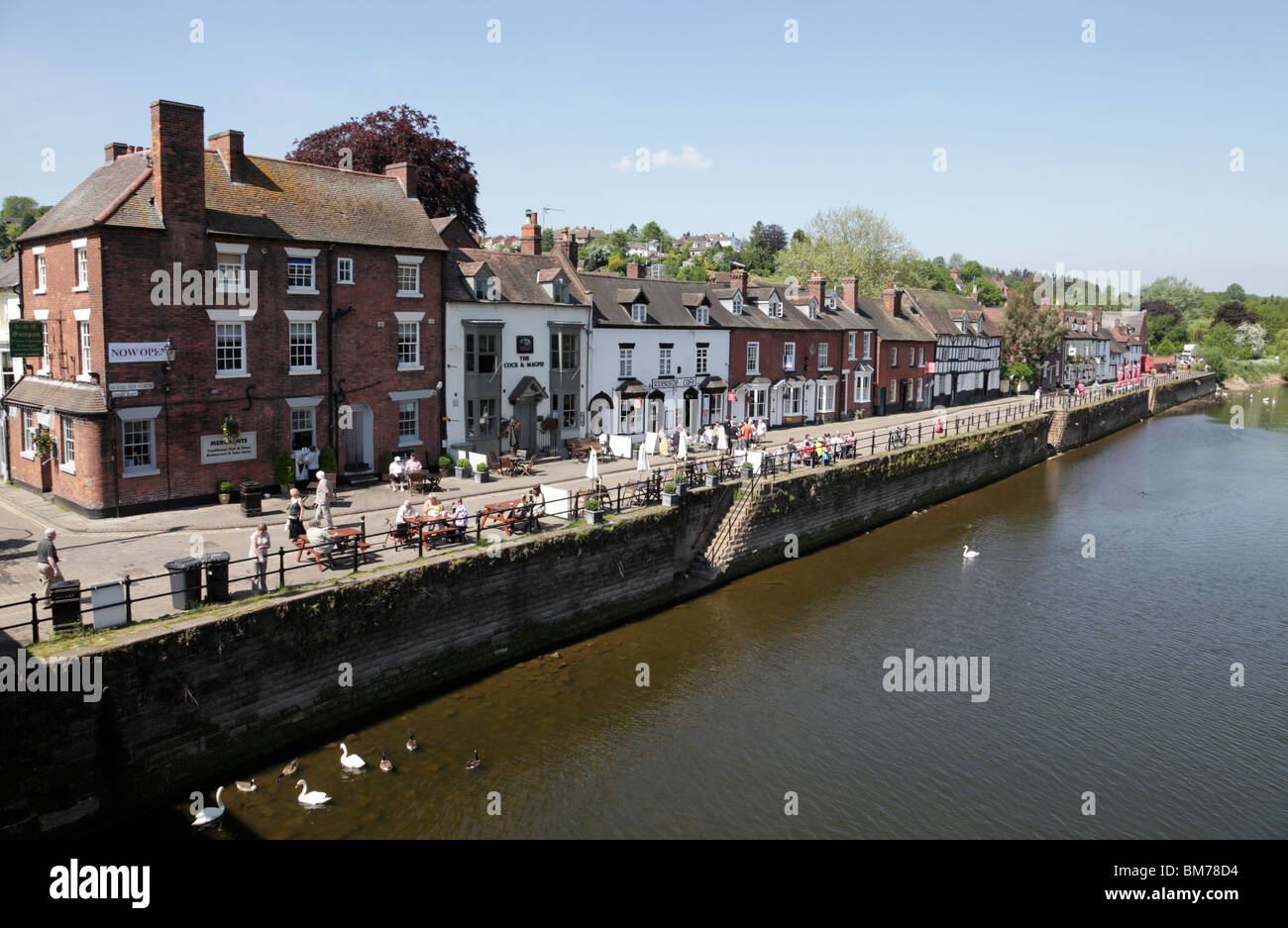 Vista del bar e caffetterie sul severn lato nord bewdley WORCESTERSHIRE REGNO UNITO Foto Stock
