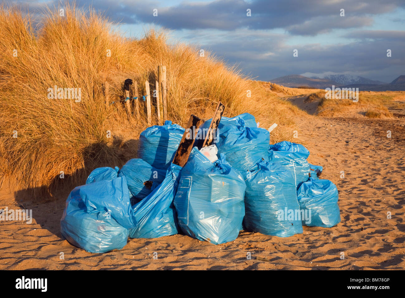 Sacchetti di lettiera raccolto su una spiaggia. Foto Stock