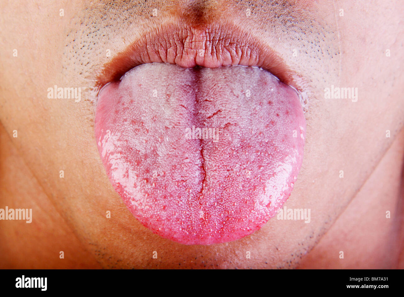 In prossimità della linguetta maschio Foto Stock