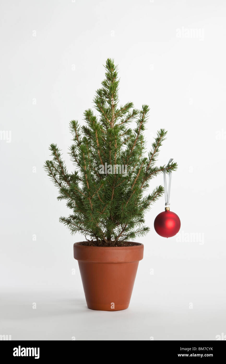 Un piccolo albero di Natale decorato con una pallina Foto Stock