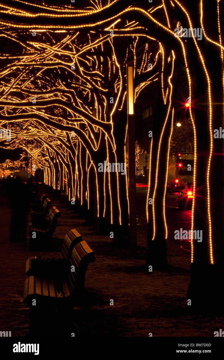 Alberi decorato con luci, Unter den Linden, Berlino, Germania Foto Stock