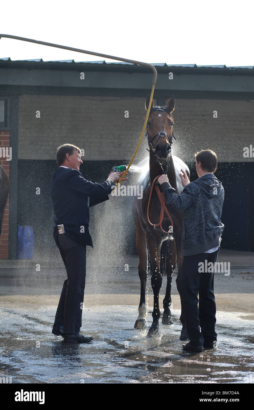 Cavallo essendo lavato giù dopo gara piatta a Warwick gare, REGNO UNITO Foto Stock