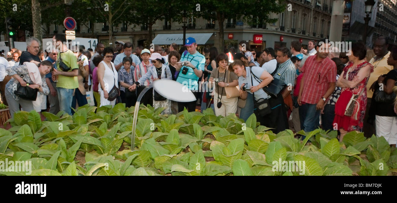 Parigi, Francia, la folla di turisti che visitano Champs-Ely vede, gli agricoltori francesi Giardino Gigante, "Natura Capitale' evento pubblico, Vista panoramica Foto Stock