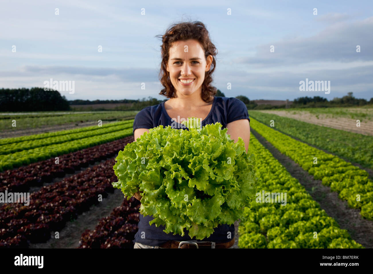 Una donna che mantiene una lattuga fresca in un campo Foto Stock