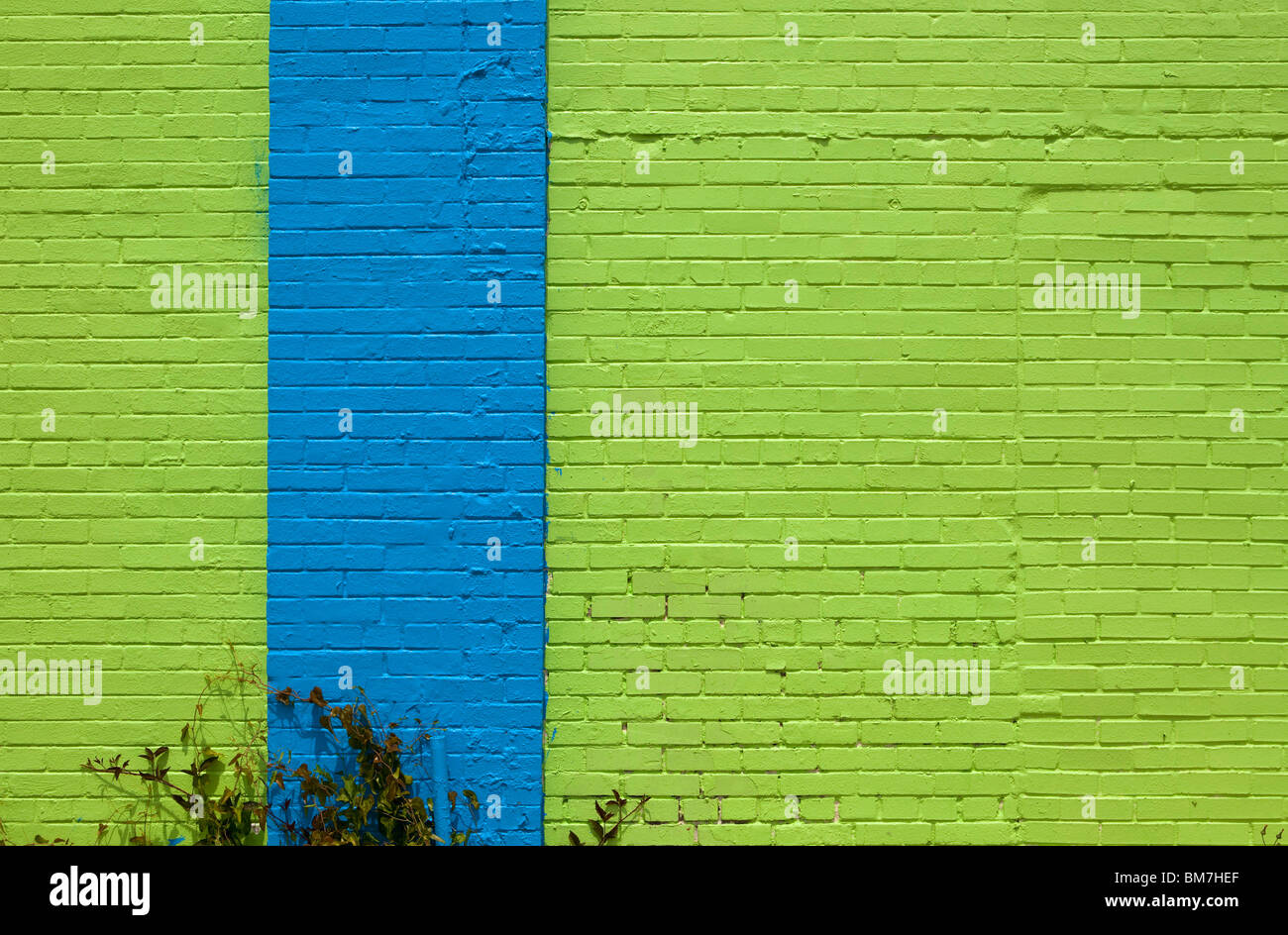 Un vivacemente colorato in blu e la parete verde Foto Stock