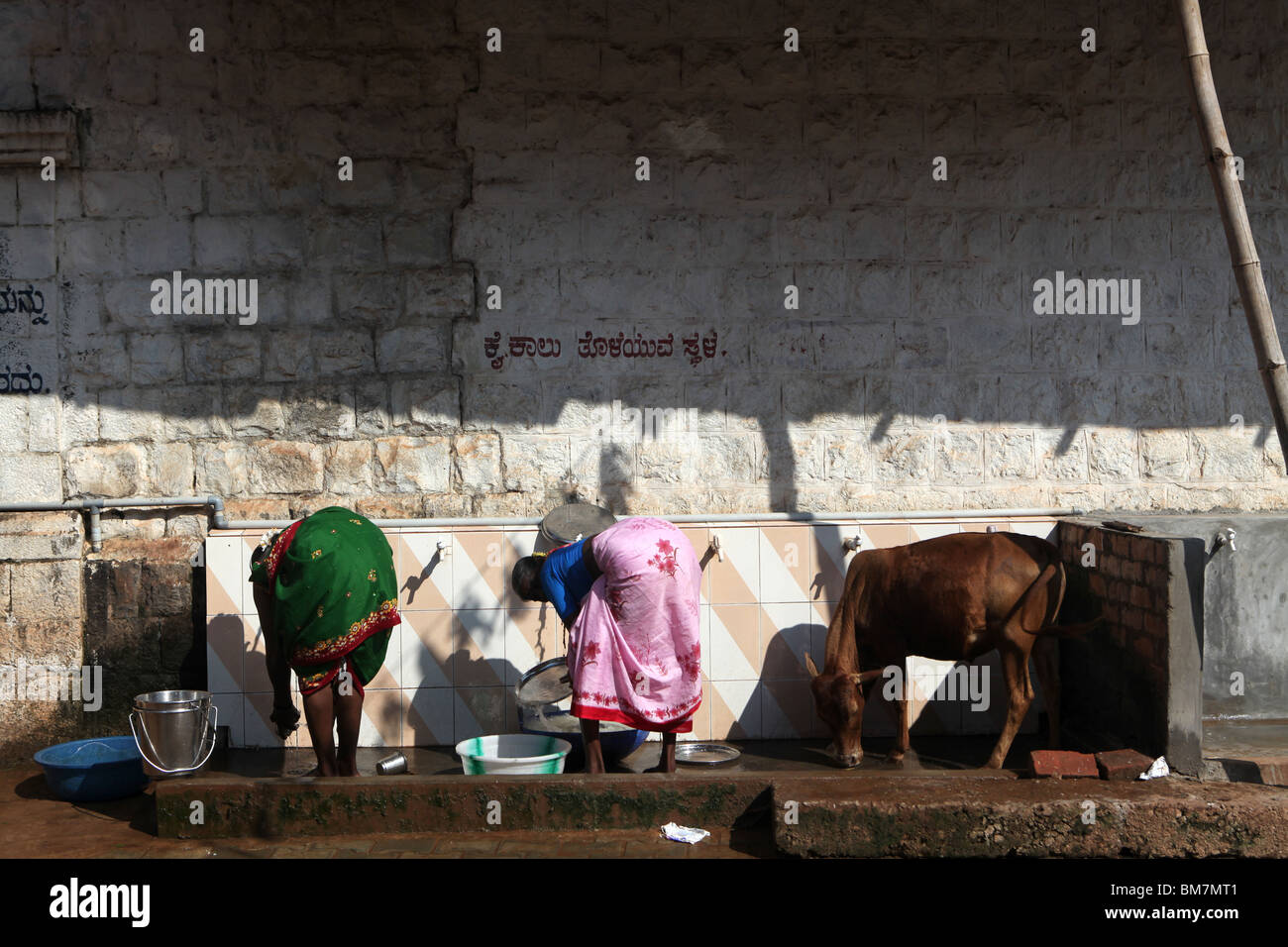 Le donne di lavaggio e una mucca drink da un pozzo nella santa città di pellegrinaggio di Gokarna in Karnataka, India. Foto Stock